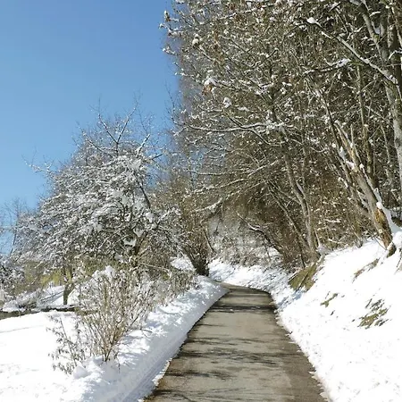 Ferienwohnung Mit Panoramab Διαμέρισμα Sankt Martin am Techelsberg